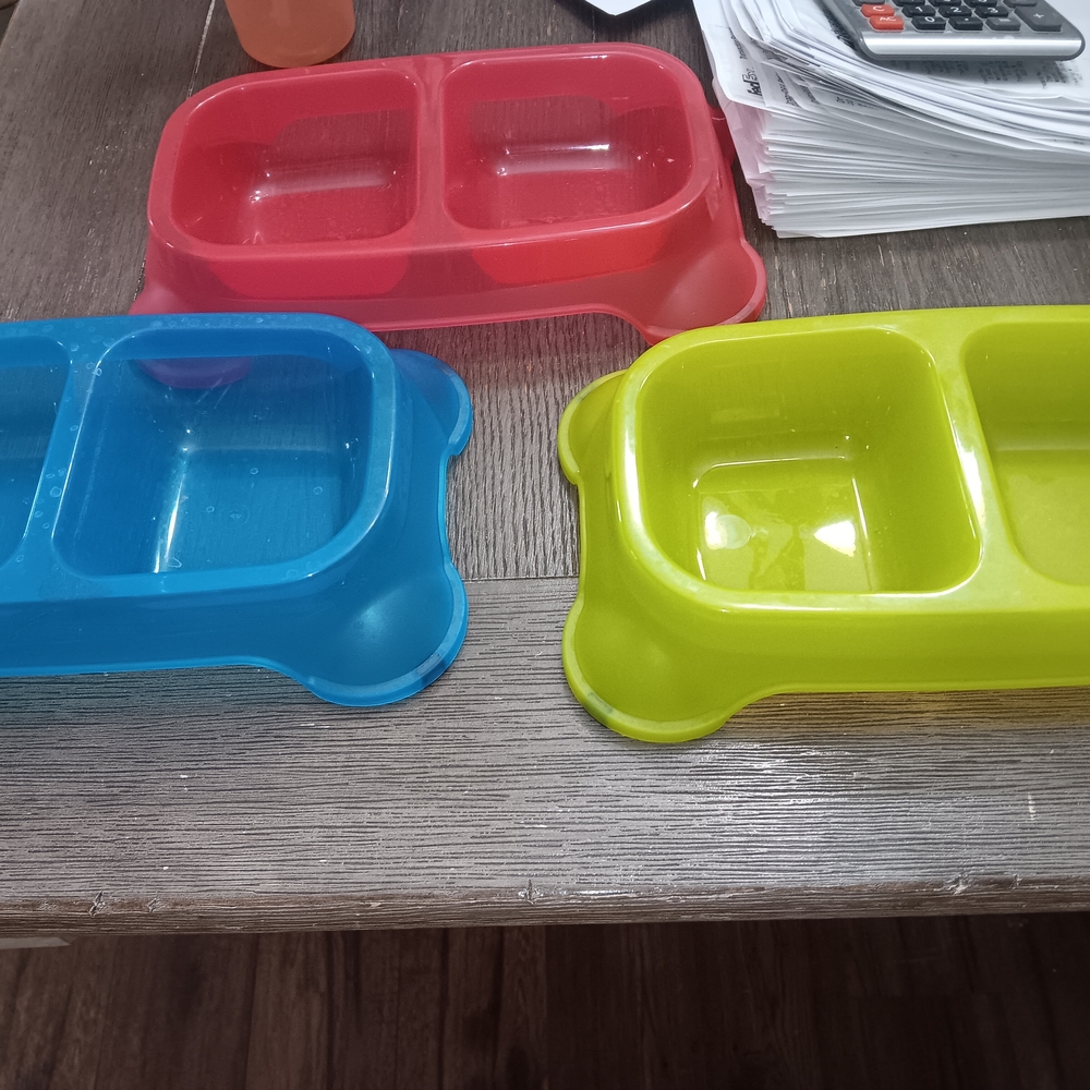 Set of Colorful Pet Feeding Bowls